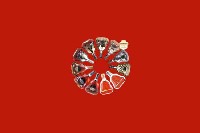 盘锦市大洼回收红酒
